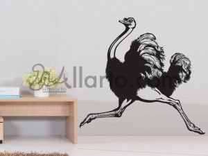 Ostrich, wall sticker decor, wall sticker dubai, wall sticker printing, wall sticker shop, wall sticker shop dubai, wall sticker