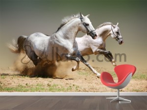 White horses, wall decor dubai, wall decoration, wall decoration sticker, wall decoration stickers, wall design, wall designs